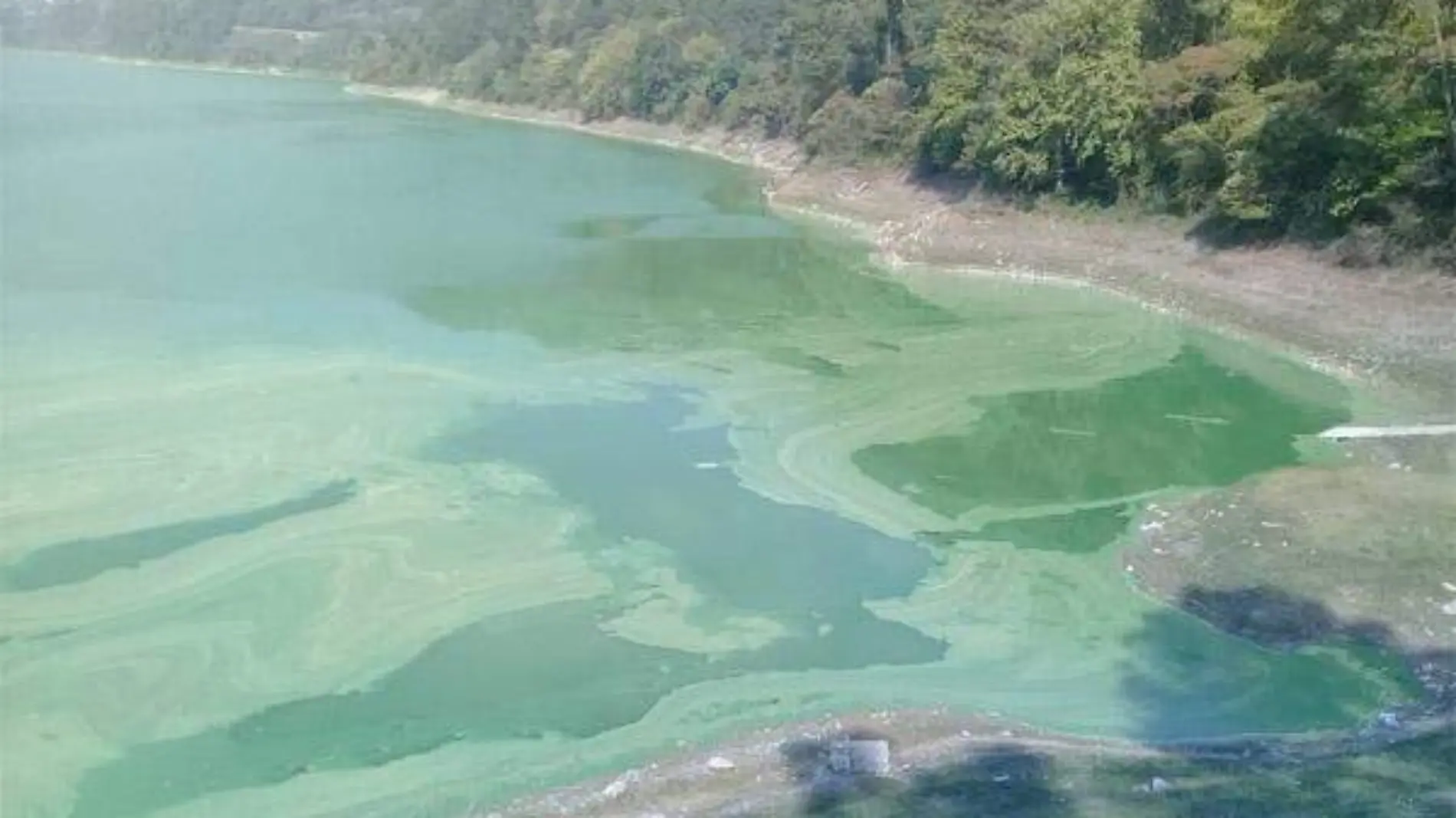 presa necaxa